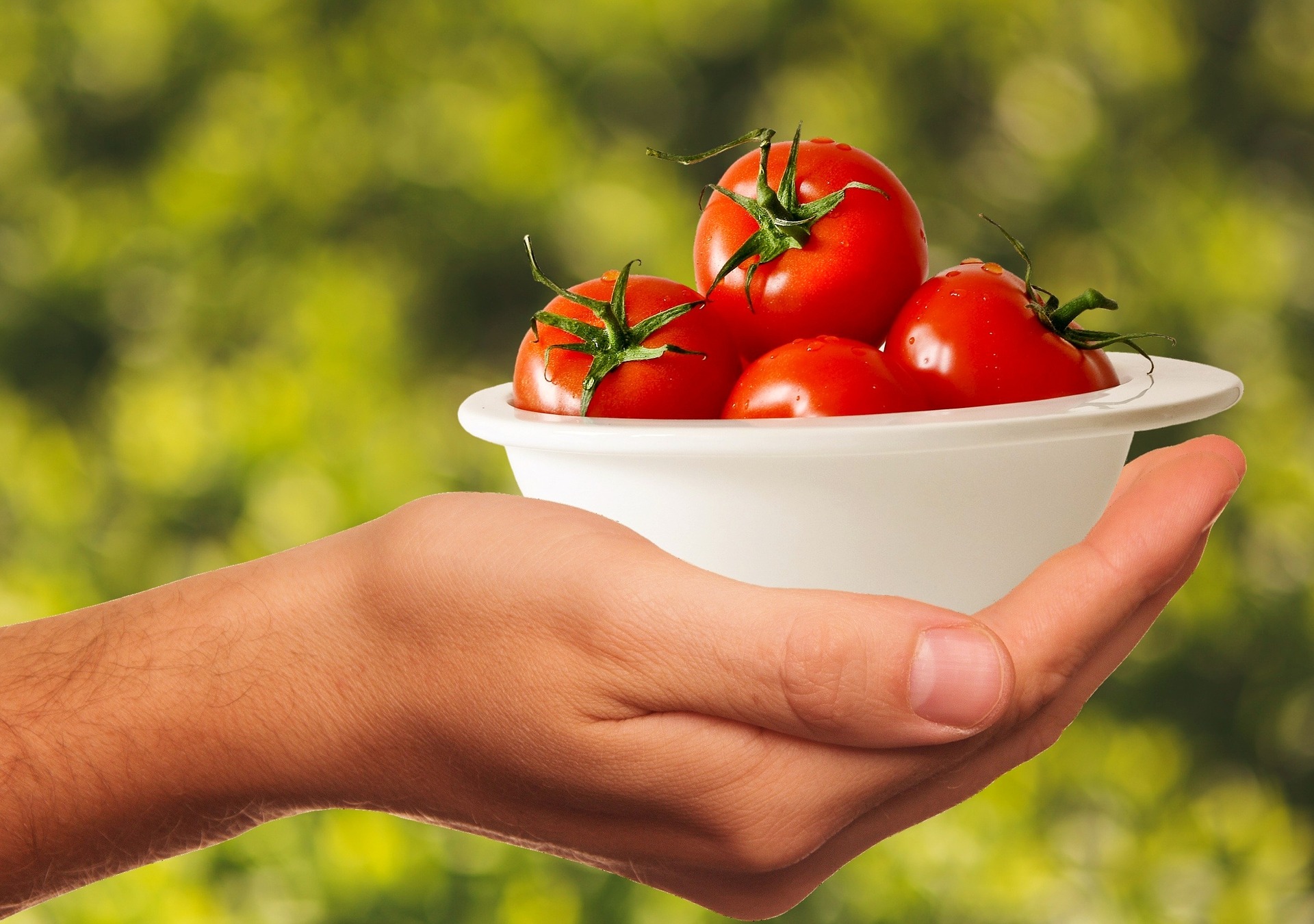 tomatoes-pixabay.jpg
